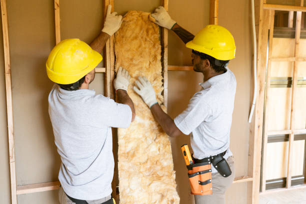 Best Wall Insulation Contractor  in Gordon, NE