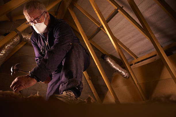 Best Insulation Contractors for Homes  in Gordon, NE